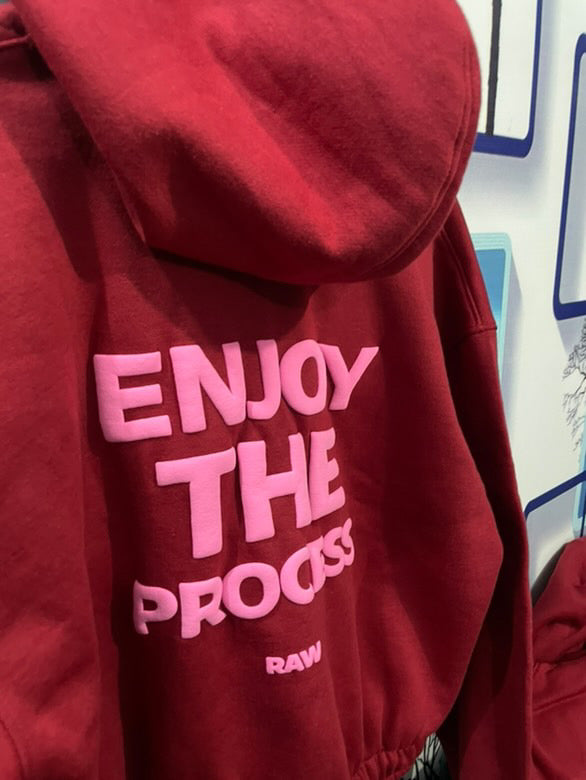 Enjoy The Process Cropped Hoodie