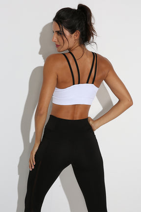 Meshed Up Sports Bra